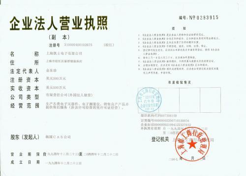 企业营业执照